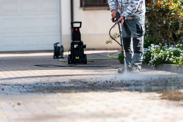 Best Roof Power Washing Services  in Walker, LA