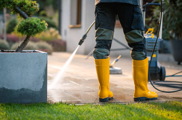 Best Best Pressure Washing Companies  in Walker, LA
